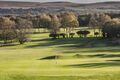 7th Green back to tee